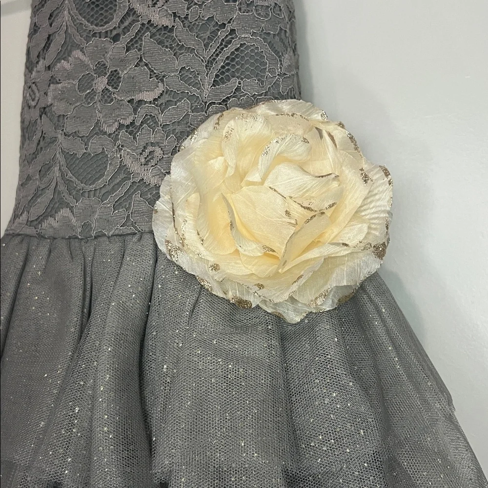 PINK & VIOLET gray dress with lace top and tiered tulle bottom with shimmer gold